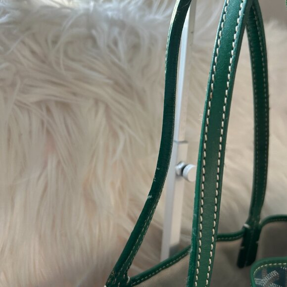 GOYARD Saint Louis PM in Green with Pouch - Picture 12 of 15